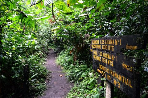 El Silencio Mirador Trails &  Hot Springs - Arenal