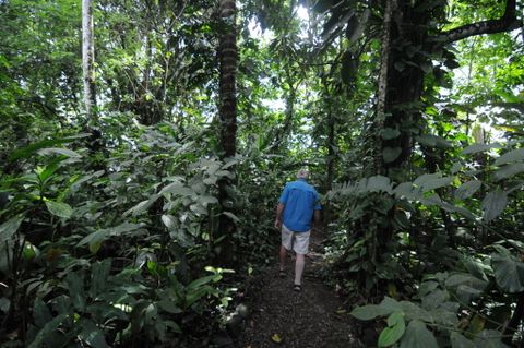 Ecocentro Danaus