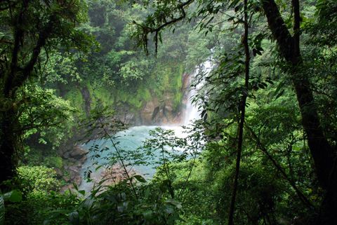 The Rio Celeste And Tenorio Volcano Hike