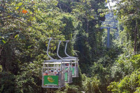 Sky Tram & Sky Trek Costa Rica Tour