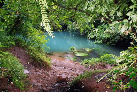 The Rio Celeste And Tenorio Volcano Hike