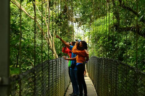 Natural History Walk Hanging Bridges