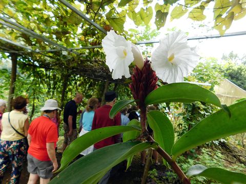 Campesino Farm Tour