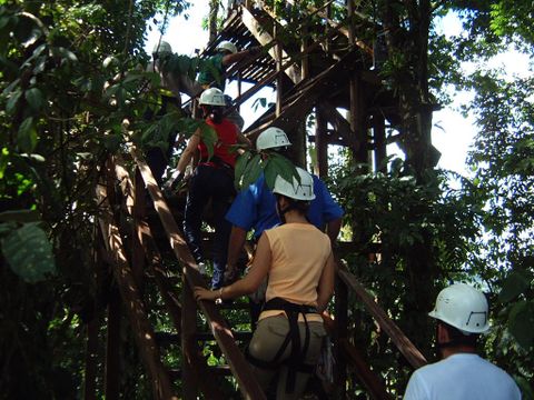 Paraiso Canopy Tour