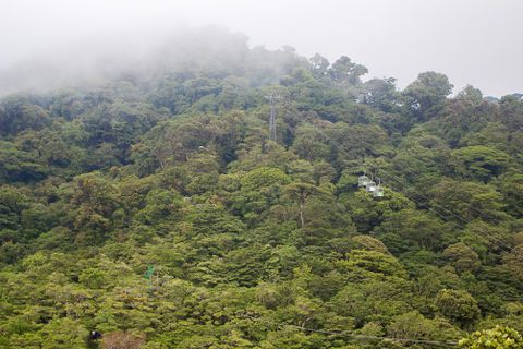 Sky Tram & Sky Trek Costa Rica Tour