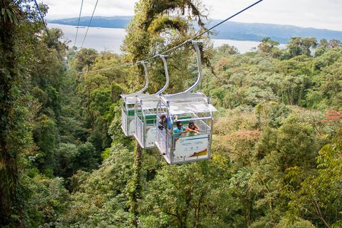 Sky Tram & Sky Trek Costa Rica Tour