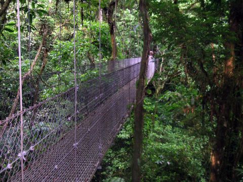 Hanging Bridges & Birdwatching tour