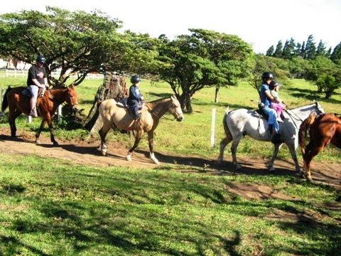 Horseback Arenal Costa Rica