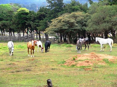 Horseback Arenal Costa Rica