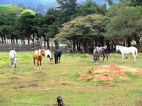 Horseback Arenal Costa Rica