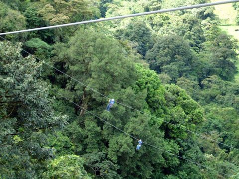 Paraiso Canopy Tour