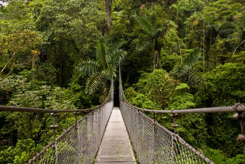 Arenal Volcano Tours