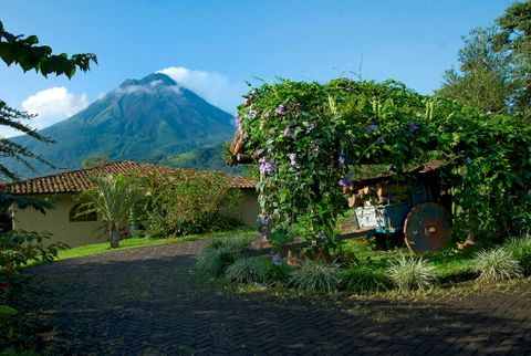 Hotel Mountain Paradise