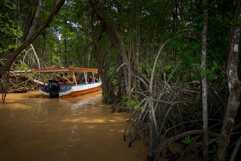 Transport Central Pacific Beaches & Crocodile Tour