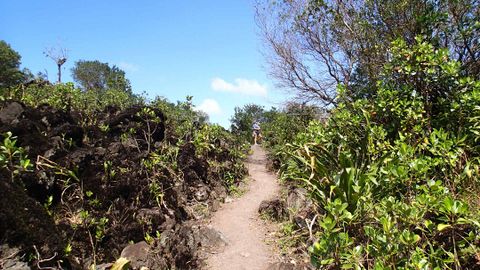 History Walk Arenal Volcano