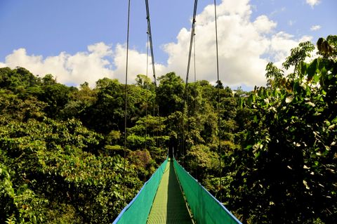 Sky Walk