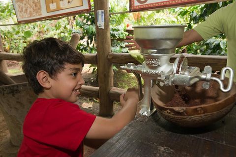 Arenal 3-in-1 Tour  Arenal Volcano Costa Rica