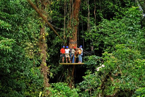 Ecoglide Canopy Tour