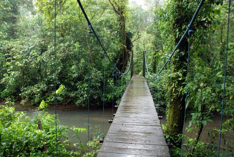 The Rio Celeste And Tenorio Volcano Hike