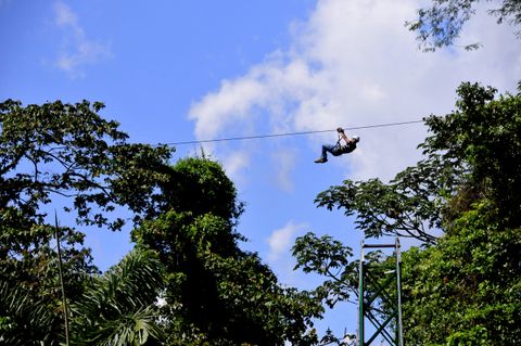 Sky Tram & Sky Trek Costa Rica Tour