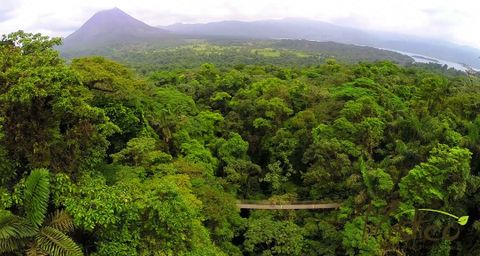 Mistico Hanging Bridges  Arenal Volcano Costa Rica