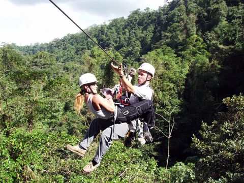 Arenal Canopy