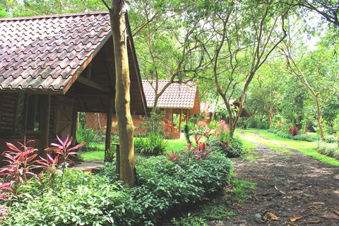 Arenal Oasis Eco Lodge