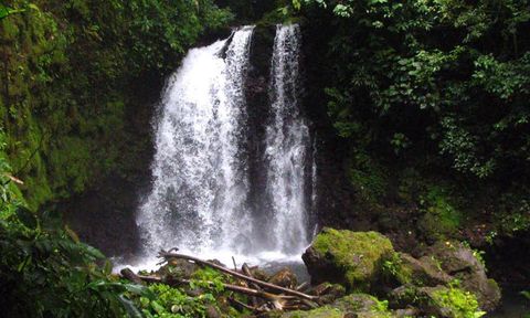 A waterfall streams in the forest of La Fortuna.