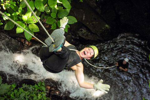 Spider Monkey Canyon  Arenal Volcano Costa Rica