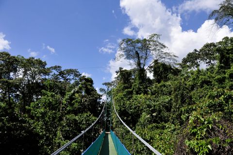 Sky Walk  Arenal Volcano Costa Rica