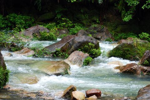 The Rio Celeste And Tenorio Volcano Hike