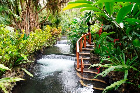 Tabacón Hot Springs