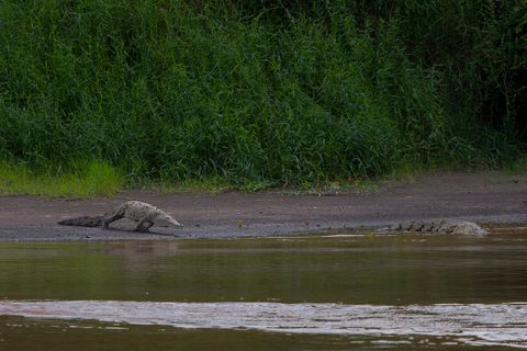 Transport Central Pacific Beaches & Crocodile Tour