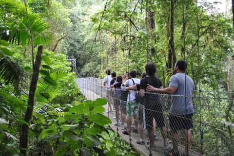 Natural History Walk Hanging Bridges