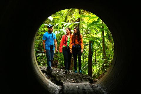 Natural History Walk Hanging Bridges