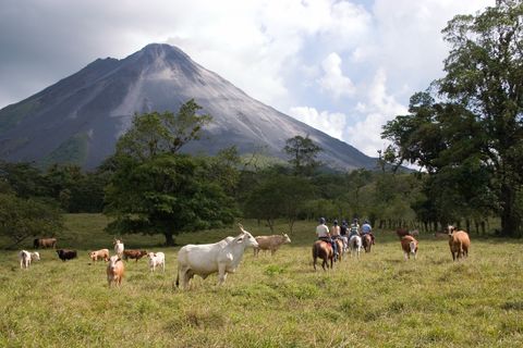 Don Tobias Horseback Ride To The Volcano