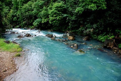 The Rio Celeste And Tenorio Volcano Hike