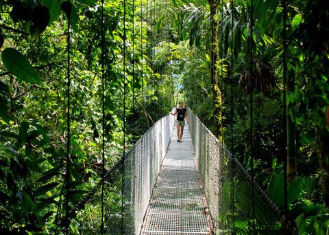 Hanging Bridges & Birdwatching tour