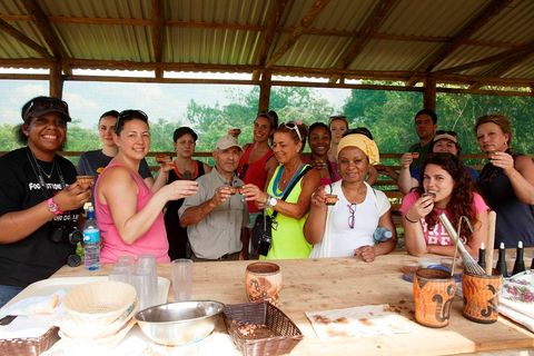 Rainforest Chocolate Tour