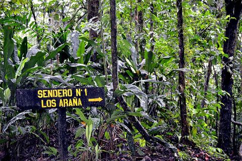 El Silencio Mirador Trails &  Hot Springs - Arenal