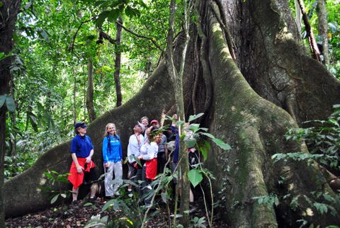 Arenal Volcano Guided Tour