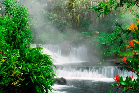 Tabacón Hot Springs