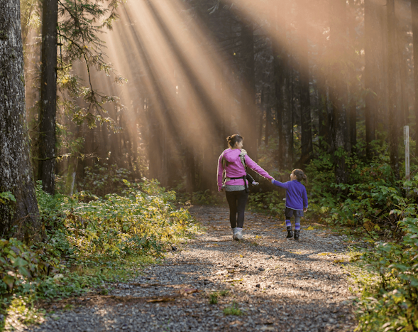 About Card Background