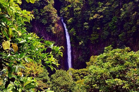 La Fortuna Waterfall