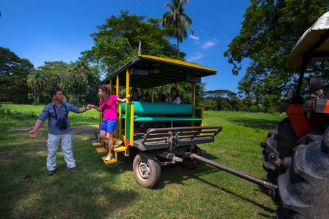 Transport Central Pacific Beaches & Crocodile Tour