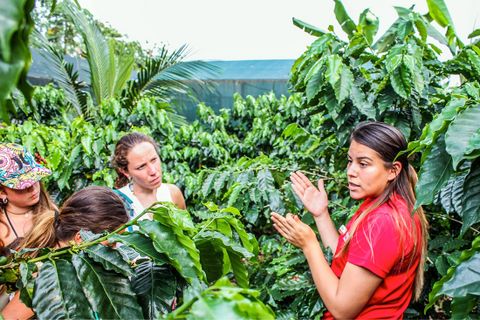 Don Juan Costa Rica Coffee Chocolate Tour