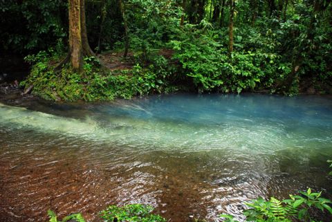 The Rio Celeste And Tenorio Volcano Hike