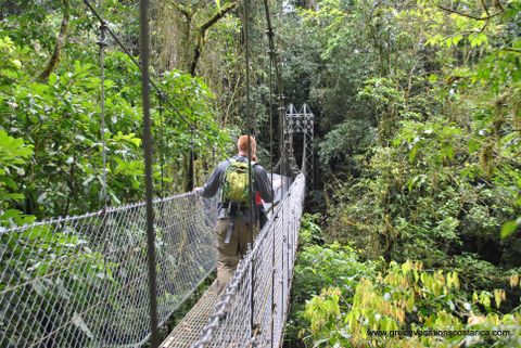 Natural History Walk Hanging Bridges