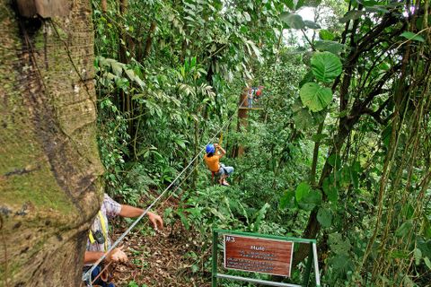 Ecoglide Canopy Tour