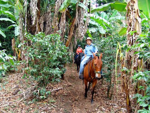 Horseback Arenal Costa Rica